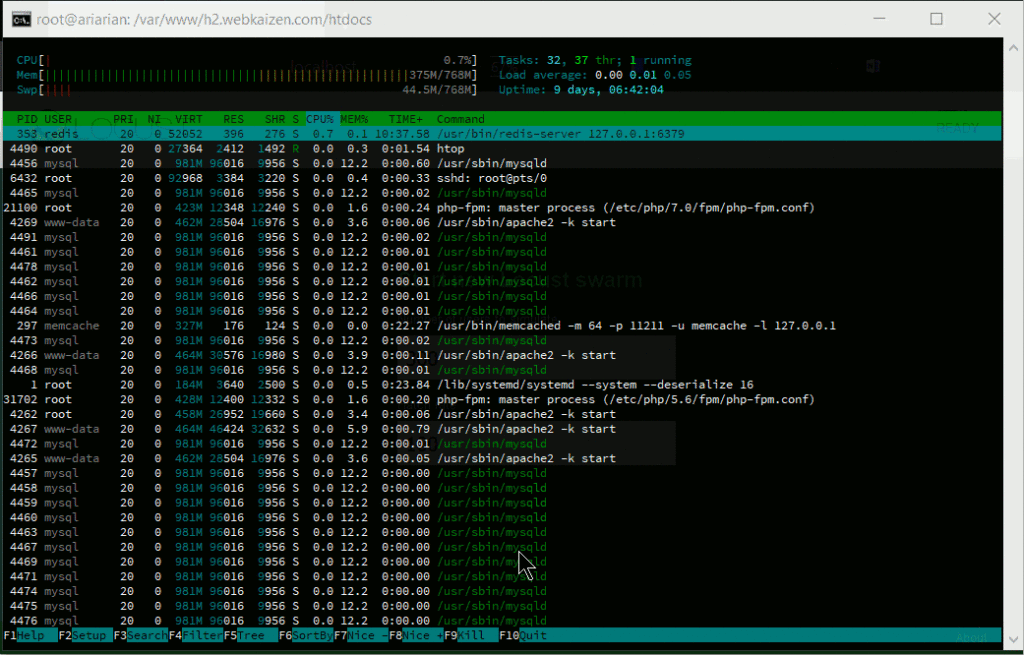 libapache2-mod-php7 mpm_prefork HTOP report