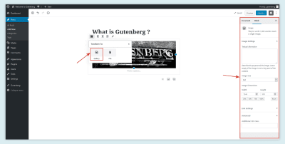 Image Settings in Gutenberg